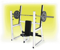 Commercial Olympic Shoulder Press Bench,yukon fitness, home gyms, free wight equipment, yukon gyms, fitness equipment